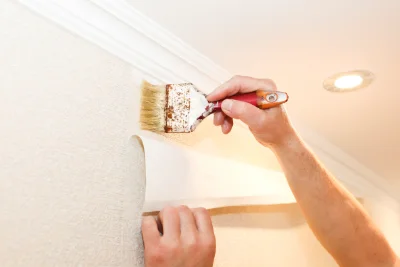Pose de papier peint à Malbosc — revêtements muraux et toiles de verre